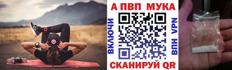 Альфа ПВП СК Санкт-Петербург