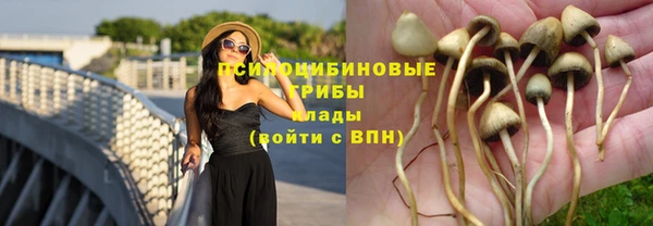 ГАЛЛЮЦИНОГЕННЫЕ ГРИБЫ Алексин