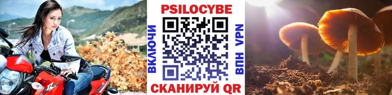 Галлюциногенные грибы Psilocybine cubensis  блэк спрут ссылки  Санкт-Петербург 