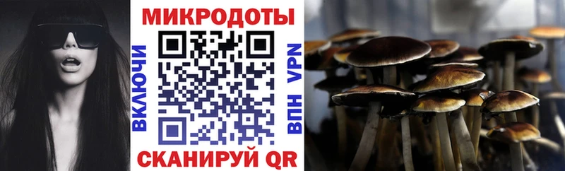 Псилоцибиновые грибы ЛСД Санкт-Петербург